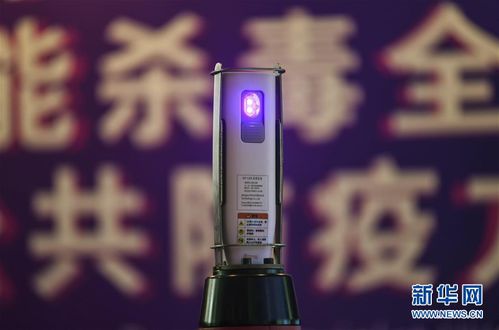 展區攻略 高顏值黑科技來襲 來東博會看高科技產品